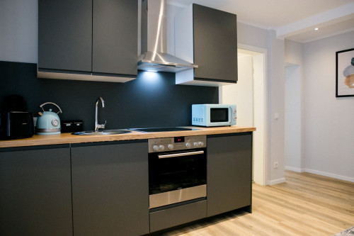 Stylish & Modern 1-Bedroom Apartment with Kitchen & Bathroom - Gallery - 17