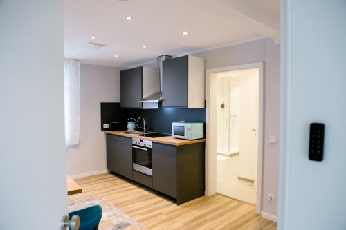 Stylish & Modern 1-Bedroom Apartment with Kitchen & Bathroom - Gallery - 13