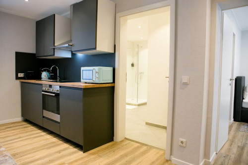 Stylish & Modern 1-Bedroom Apartment with Kitchen & Bathroom - Gallery - 19