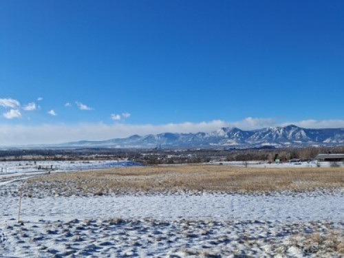 Cozy guestroom for nature-lovers!