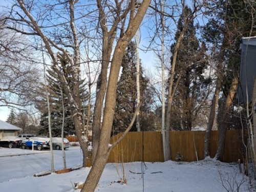 Cozy guestroom for nature-lovers!
