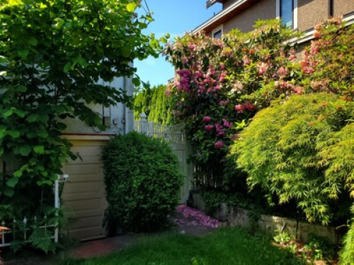 Privite 1-Bedroom for Female only  - Gallery -  5