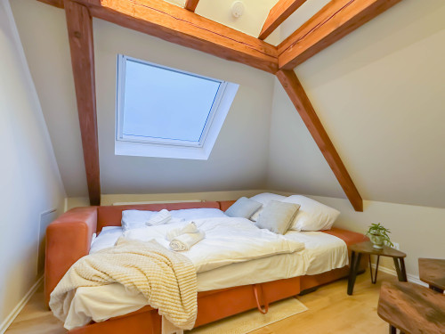 Design & Comfort – Fully Renovated, Fully Furnished Home with 2 Bedrooms and Workspace - Gallery - 17
