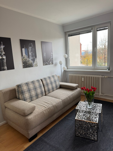 Amazing redocorated apartment centrally located in Hansa District