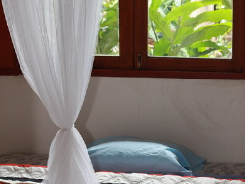 It's Natural - It's Real - It's Fun