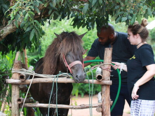 It's Natural - It's Real - It's Fun