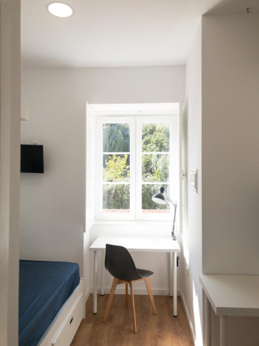 Bright studio in the Sun neighbourhood of Coimbra - Gallery - 3