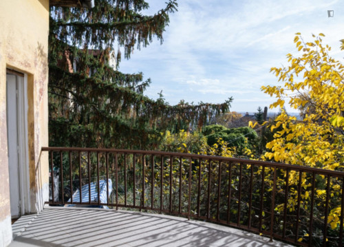 Bright 14m Room with Terrace Access in Rose Hill
