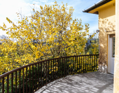 Bright 14m Room with Terrace Access in Rose Hill