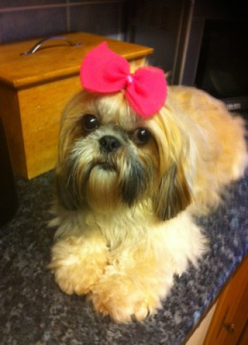 Friendly Family  - Gallery -  5