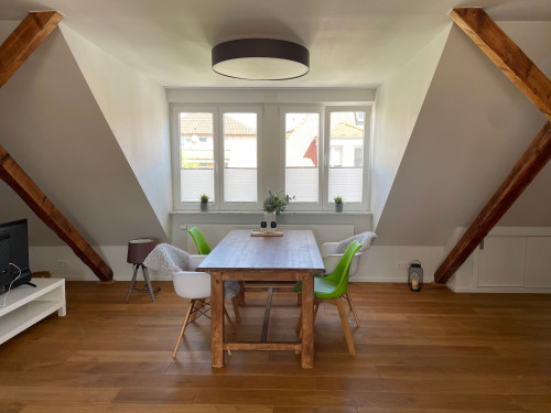 Awesome 2 room rooftop studio in Karlsruhe close to central station with air conditioning