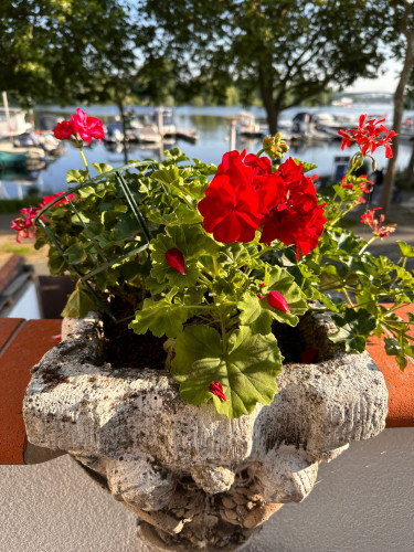 Attention! Google photos are not up to date, the neighboring house is finished. Your fisherman's house at the harbor is wainting for you! - Gallery - 24