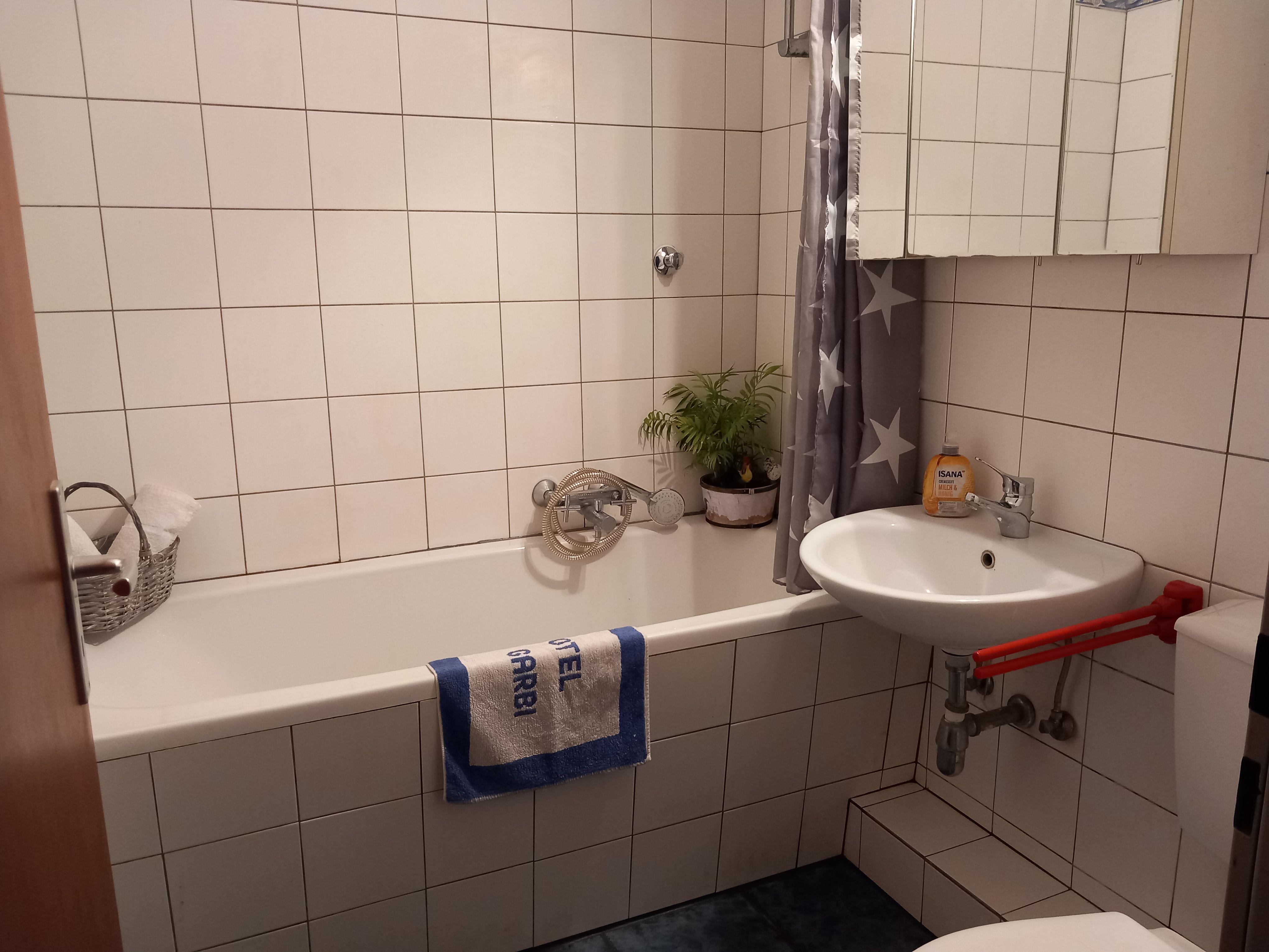 Lovely Flat Close To DUS Airport And Green Lake And Silver Lake - 4