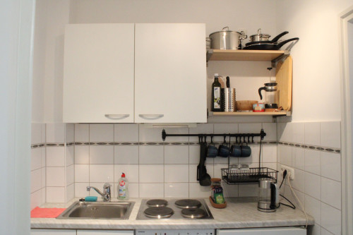 Quiet, Central Location – Steps from the Isar - Gallery - 9