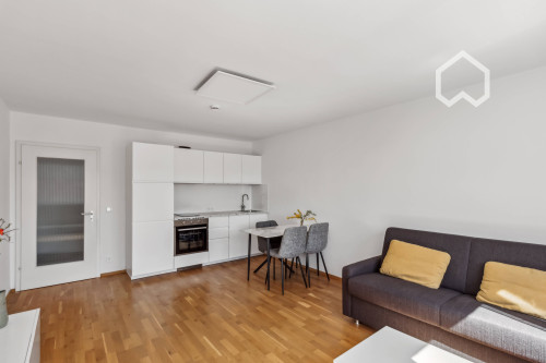 Newly furnished 2-room apartment with plenty of light