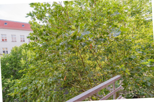 Amazing, bright flat in Prenzlauer Berg with balcony