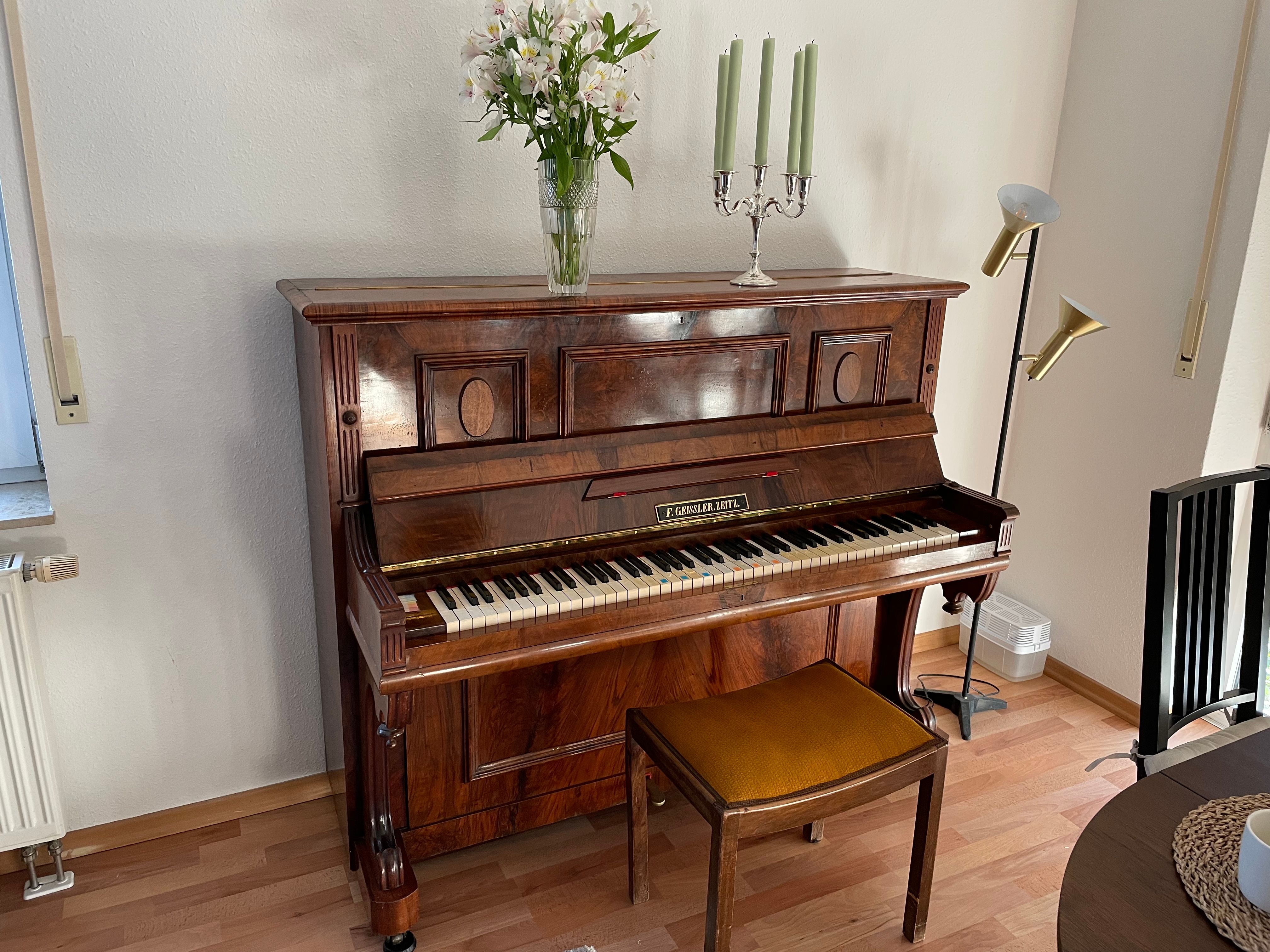  Aparment In The Center Of Dresden  -  Aparment in the center of Dresden  - Gallery -  9