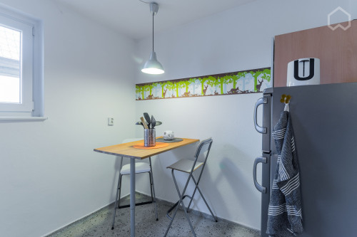 Bright flat with a wonderful view