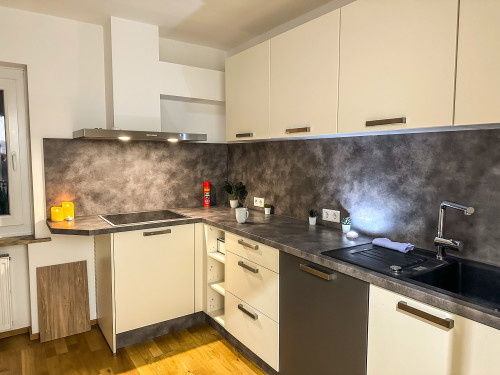 Near Regensburg/Walhalla: Balcony | 3 rooms | kitchen | electric fireplace | Nintendo Switch | parking - Gallery - 22