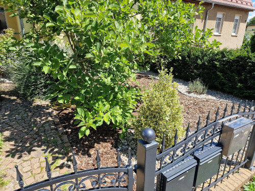 Freistehendes Haus in zentraler Stadtlage Potsdam