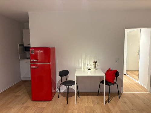 Central, cozy 1 room apartment - fully equipped