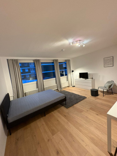 Central, cozy 1 room apartment - fully equipped