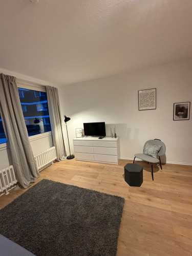 Central, cozy 1 room apartment - fully equipped