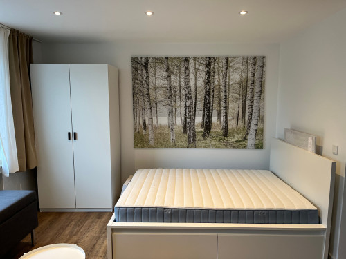 Awesome and spacious suite