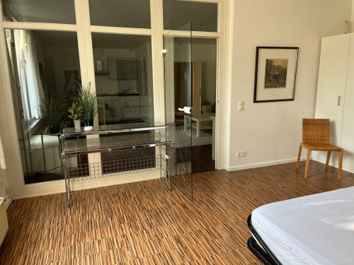 Furnished temporary apartment in Troisdorf near Cologne/Bonn.  - Gallery -  5