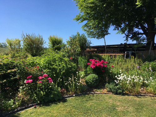 Gorgeous & wonderful studio apartment with balcony in Gießen