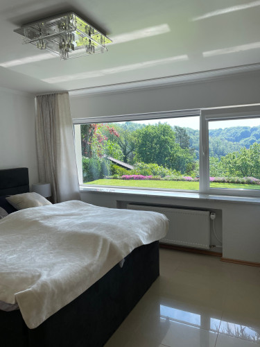 Beautiful, perfect suite in quiet street