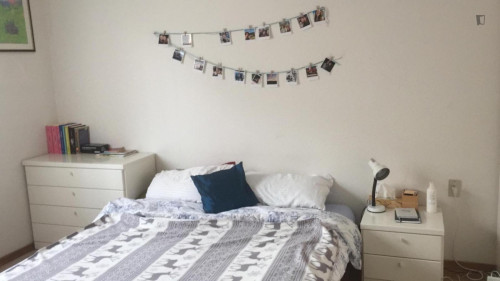 Cozy Single Bedroom in Bologna