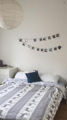 Cozy Single Bedroom in Bologna