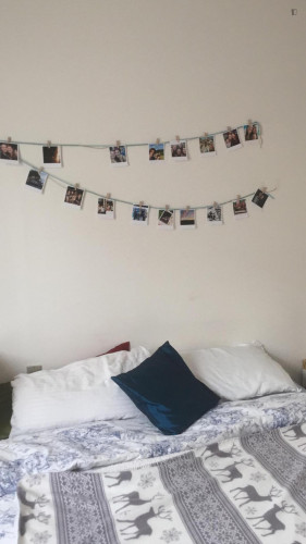 Cozy Single Bedroom in Bologna