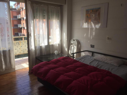 Single Bedroom with Balcony in Bologna