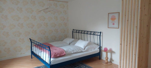 Perfect and pretty studio (Münster)