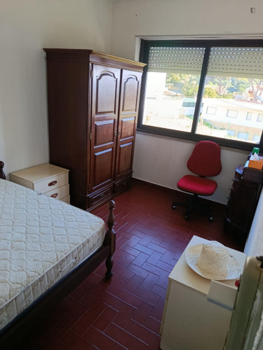 Welcoming Single Bedroom close to Sesimbra Beach