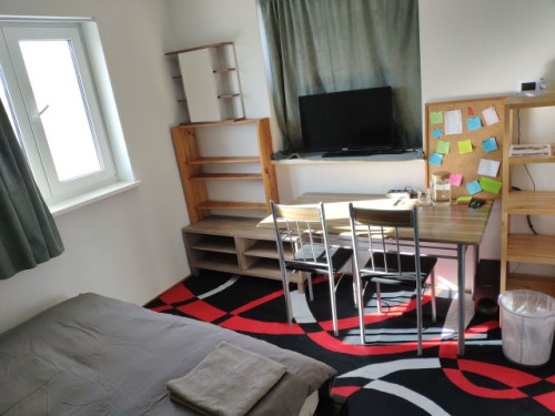 WG-Zimmer Quiet room 2 mins from station in Werder (Havel)