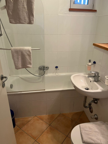 Fantastic apartment located in München with mountain view