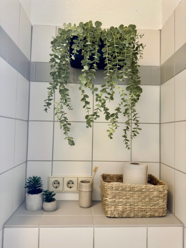 Cozy Apartment direct in the City - huge balcony