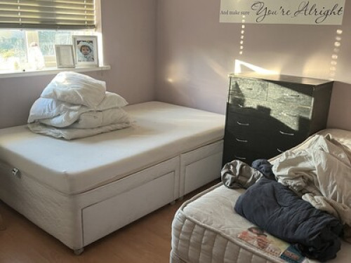 Single room and twin room 