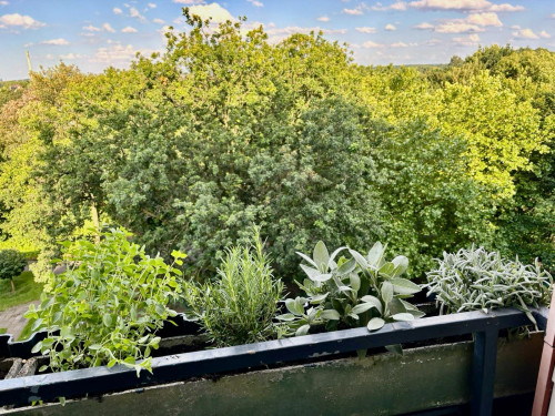 CASE BOHO-APARTMENT BALCONY COFFEEBAR