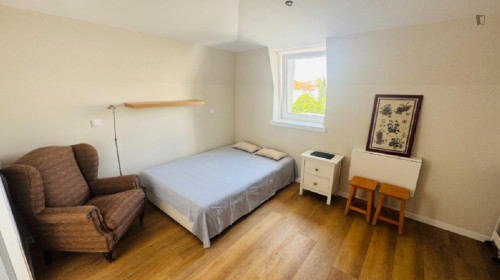 Vibrant Studio close to Faculty of Economics of the University of Coimbra