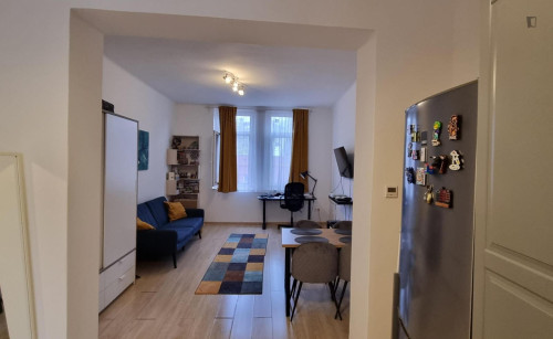 Excitement 1 Bedroom Apartment In the heart of Buda