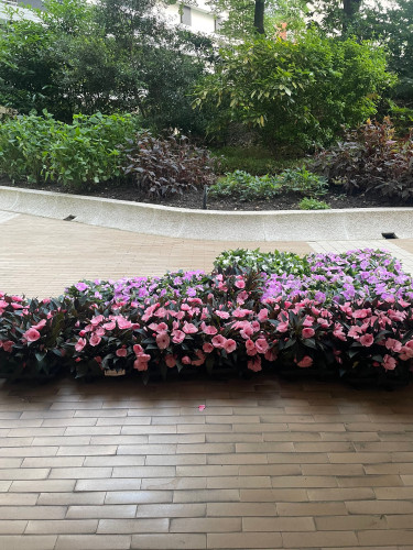 Only for elegant people with high standards