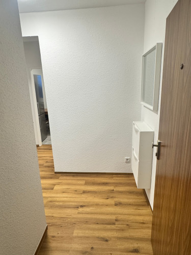Schöne, renovierte(Kern-sanierte) 2-Zimmer-Wohnung