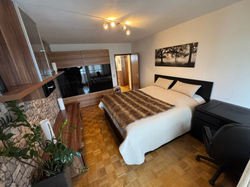 Central furnished apartment with panoramic city view in Karlsruhe