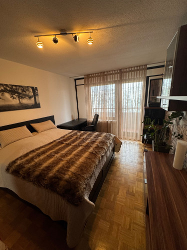 Central furnished apartment with panoramic city view in Karlsruhe