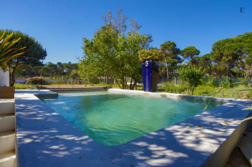 Irresistible 4 Bedroom House with a swimming pool close to Meco Village - Gallery - 16