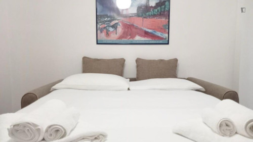 2-Bedrooom apartment near the Tiburtina train station